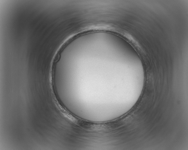 X0000073951232200609111642