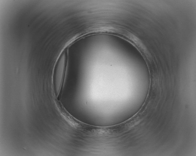 X0000073951234200609111642