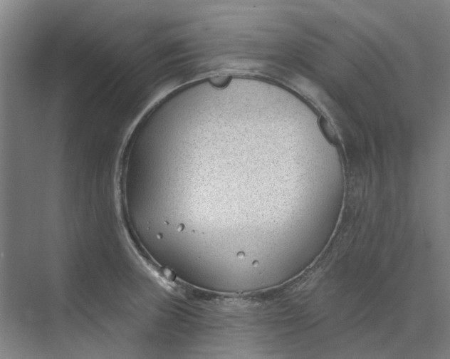 X0000073951235200609111642