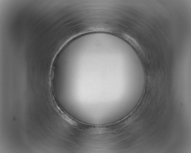 X0000073951236200609111642