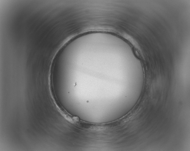 X0000073951237200609111642