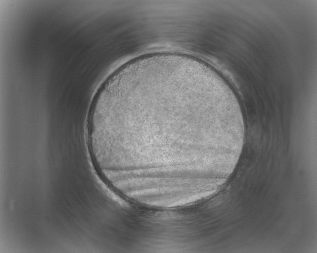 X0000073951239200609111642