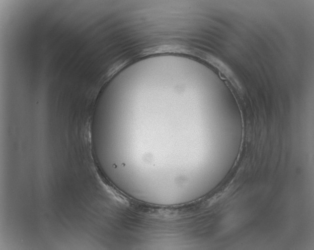 X0000073951241200609111642