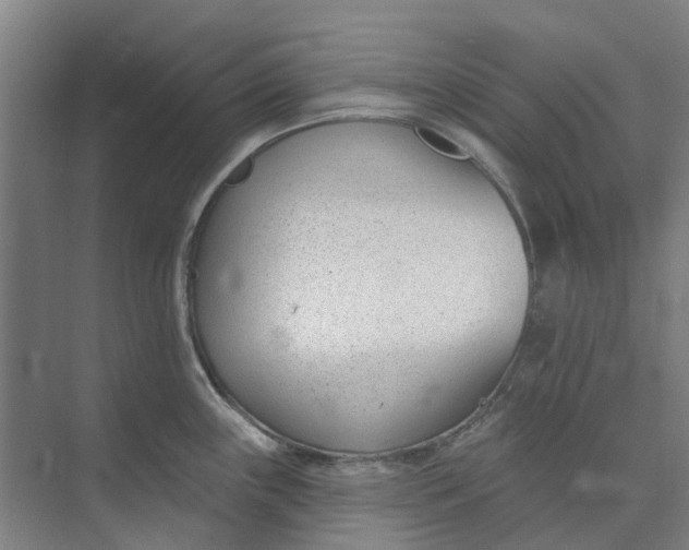 X0000073951243200609111642