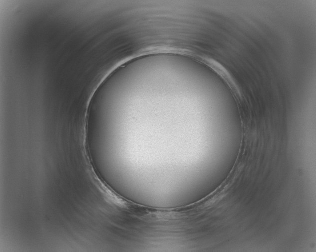 X0000073951244200609111642