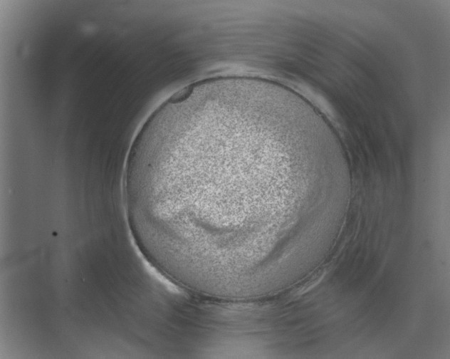 X0000073951247200609111642