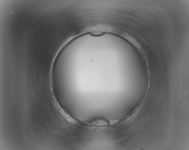 X0000073951248200609111642