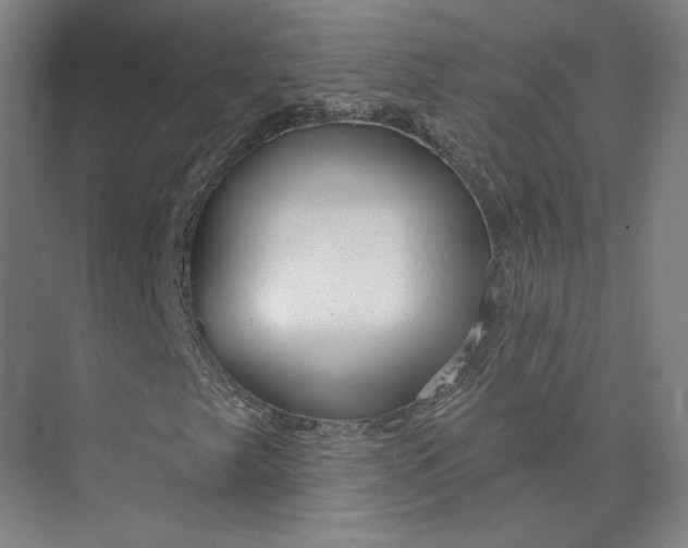 X0000073951249200609111641