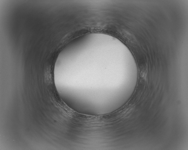 X0000073951252200609111641