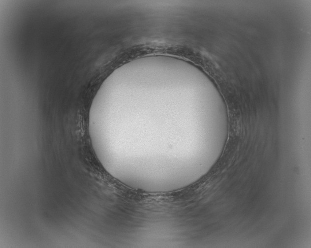 X0000073951253200609111641