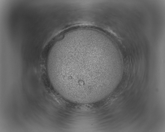 X0000073951255200609111641