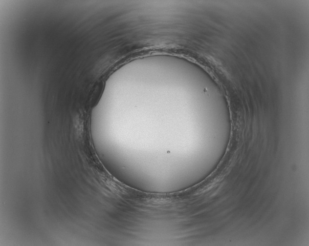 X0000073951257200609111641