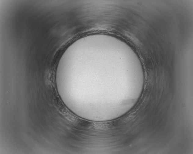 X0000073951258200609111641