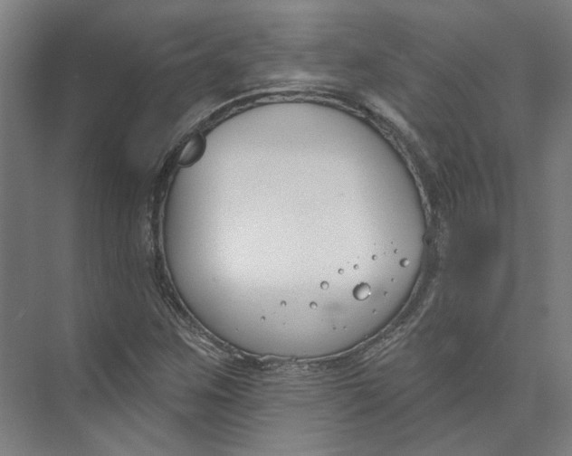 X0000073951259200609111641