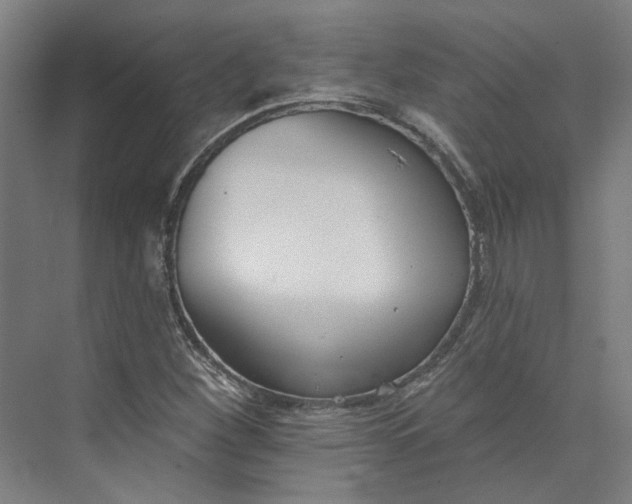 X0000073951260200609111641