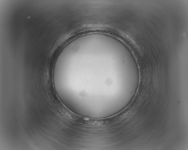 X0000073951261200609111641