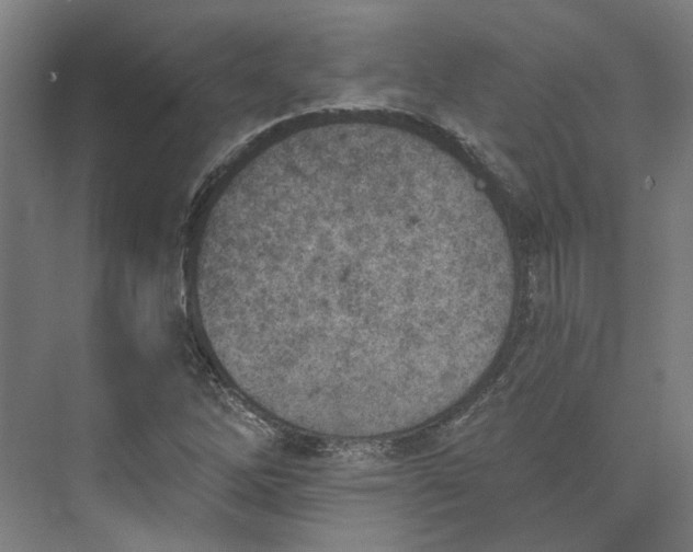 X0000073951262200609111641