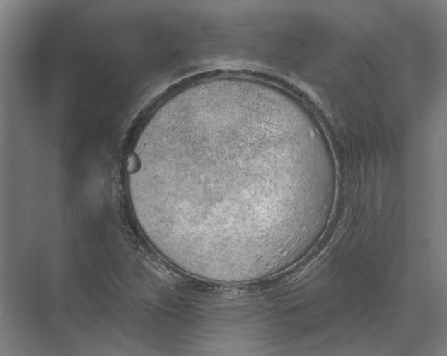 X0000073951263200609111641