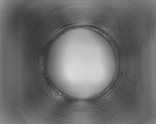 X0000073951265200609111641