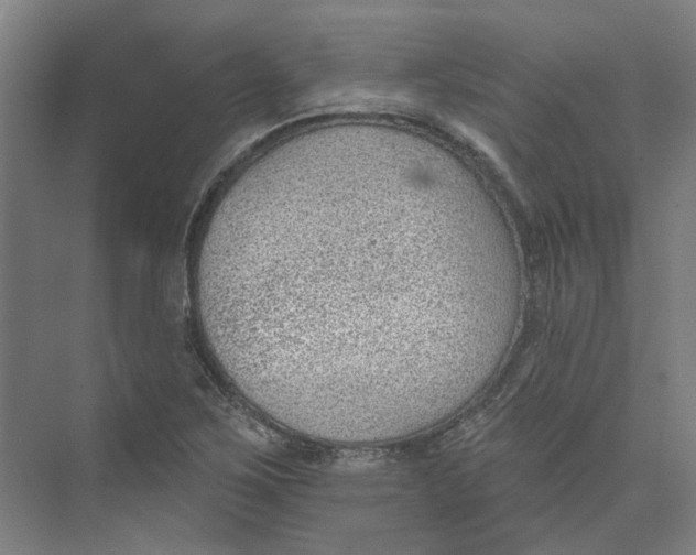 X0000073951267200609111641