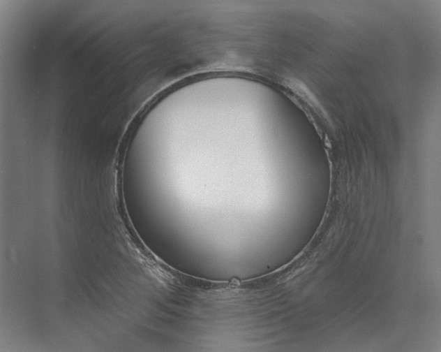 X0000073951268200609111641