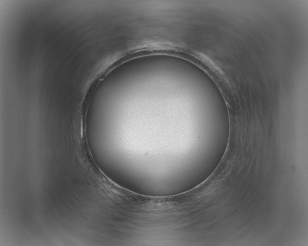 X0000073951269200609111641