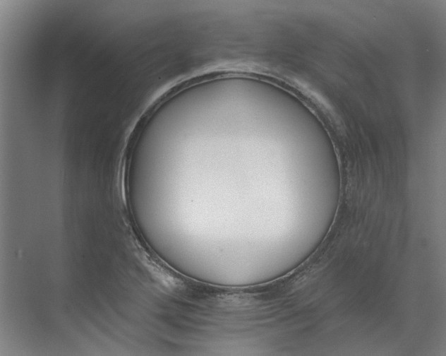 X0000073951272200609111641