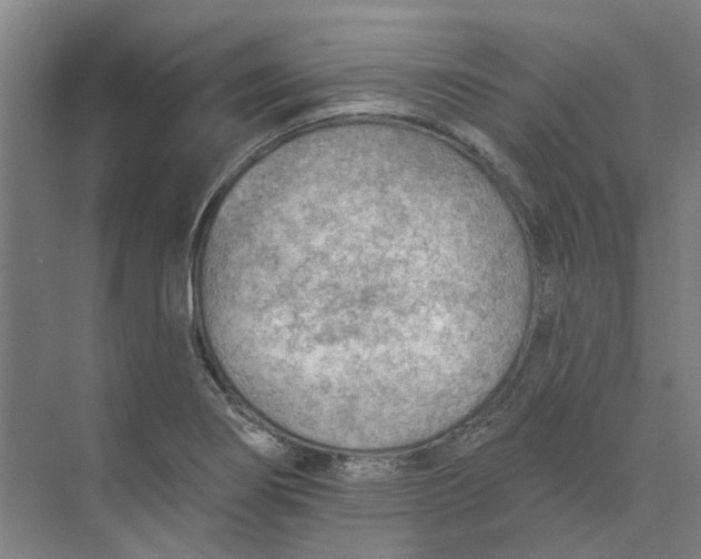 X0000073951274200609111641