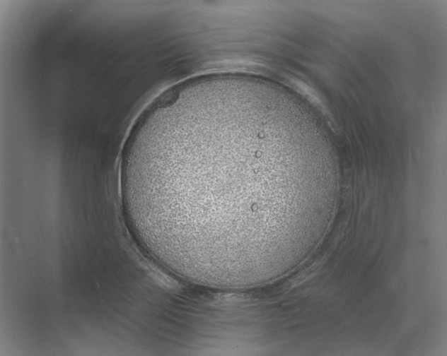 X0000073951275200609111641