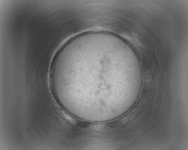 X0000073951278200609111641