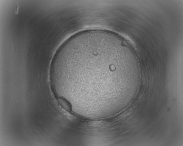 X0000073951279200609111641