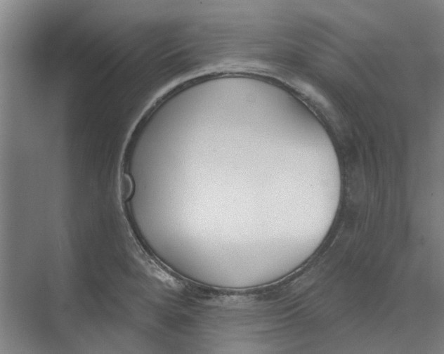 X0000073951280200609111641