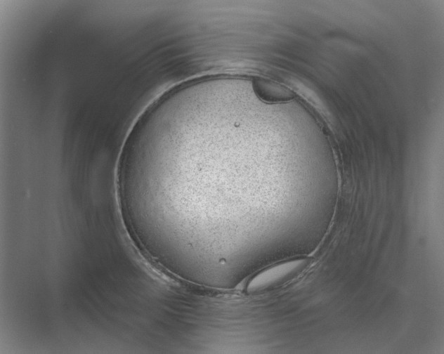 X0000073951283200609111640