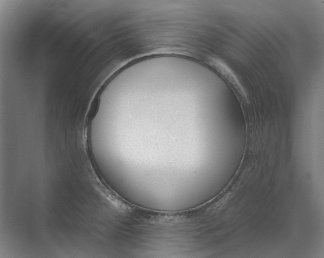 X0000073951284200609111640