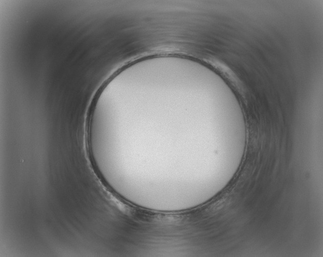 X0000073951286200609111640