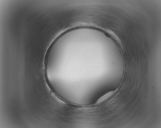 X0000073951287200609111640