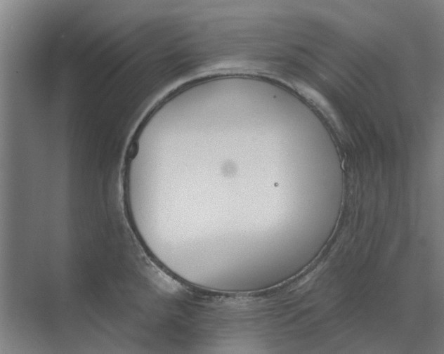 X0000073951288200609111640