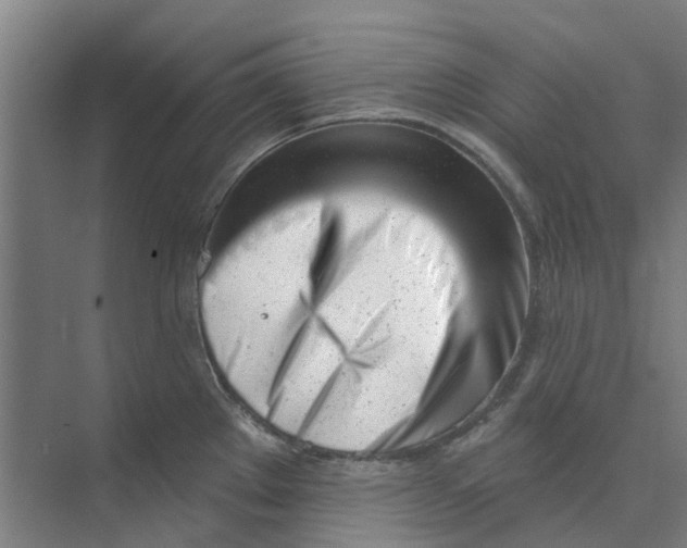 X0000073951289200609111640