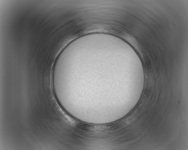 X0000073951290200609111640