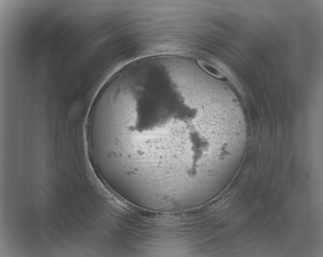 X0000073951291200609111640