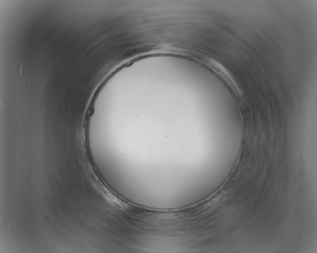 X0000073951292200609111640