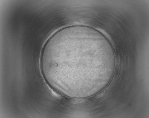 X0000073951294200609111640