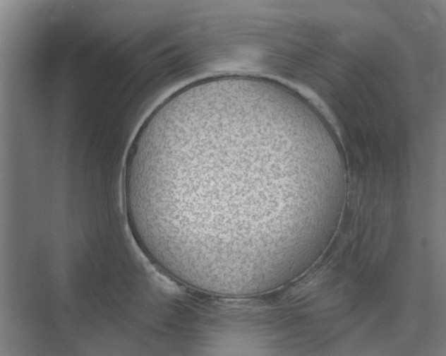 X0000073951295200609111640