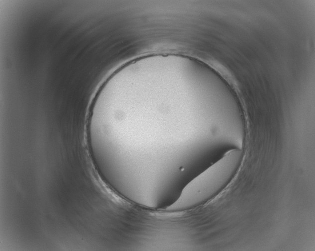 X0000073951296200609111640