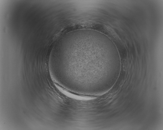 X0000073951298200609111639