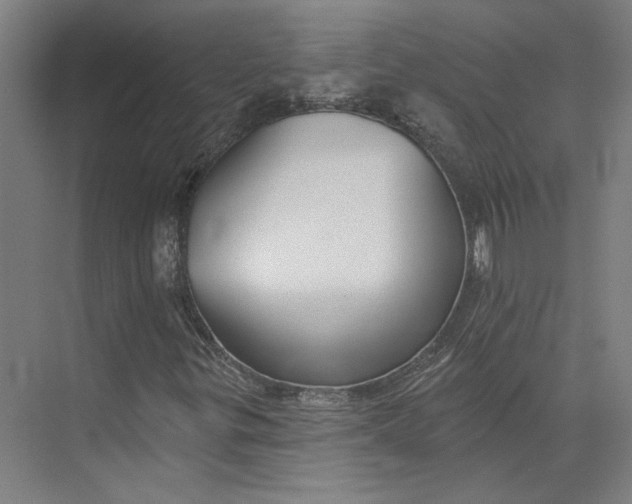 X0000073951299200609111639