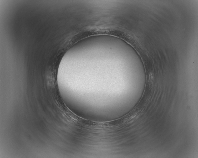 X0000073951300200609111639