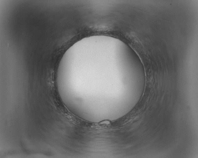 X0000073951301200609111640