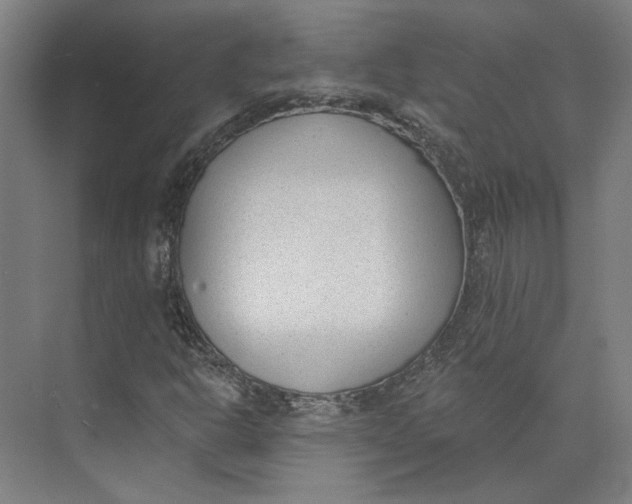 X0000073951302200609111640