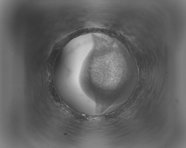 X0000073951303200609111640